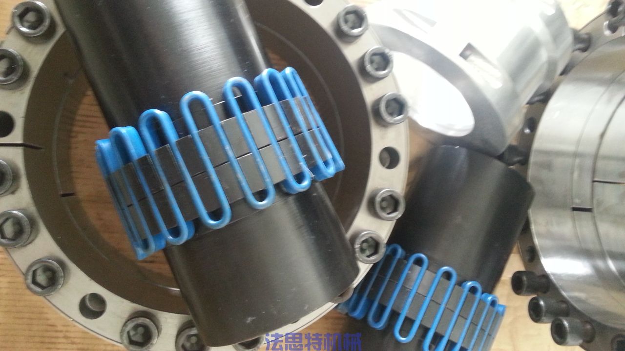 6080蛇形弹簧联轴器.jpg